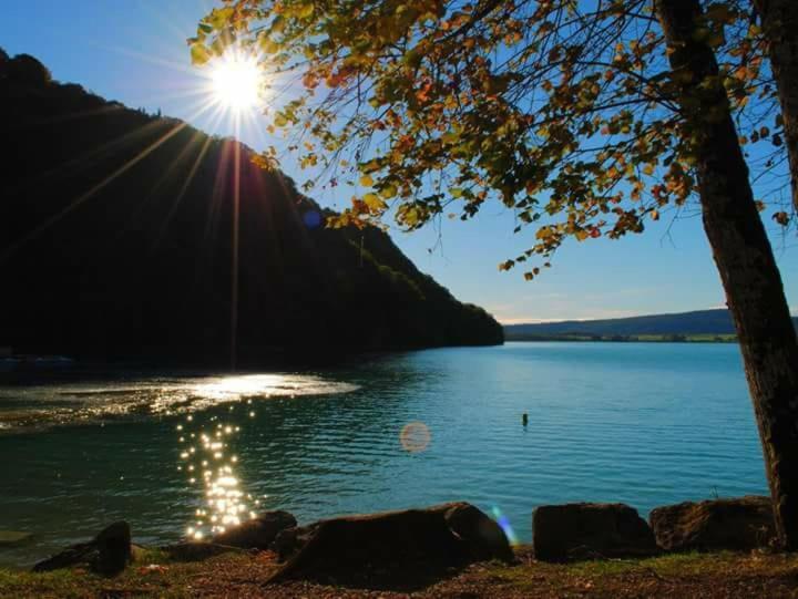 Maison/Gite Familial Dans Le Jura A 200M Du Lac Avec Piscine Privee Marigny  Buitenkant foto