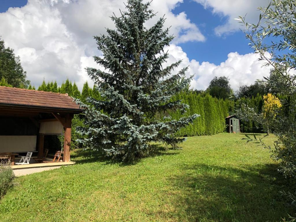 Maison/Gite Familial Dans Le Jura A 200M Du Lac Avec Piscine Privee Marigny  Buitenkant foto