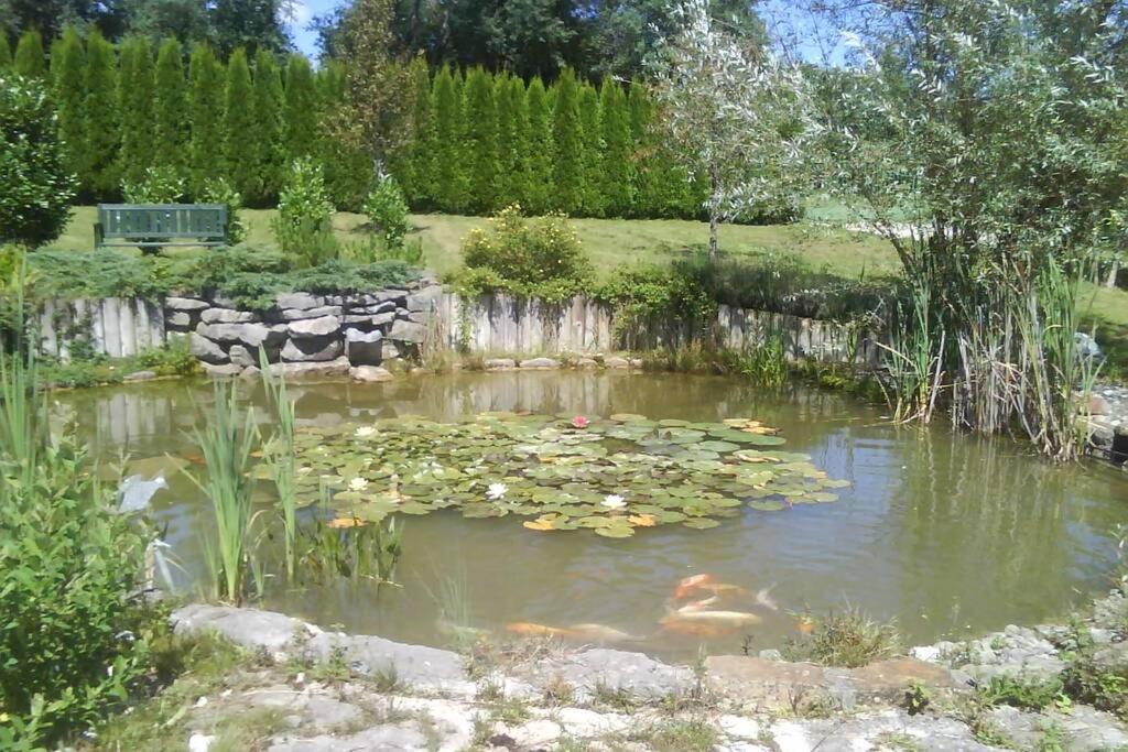 Maison/Gite Familial Dans Le Jura A 200M Du Lac Avec Piscine Privee Marigny  Buitenkant foto