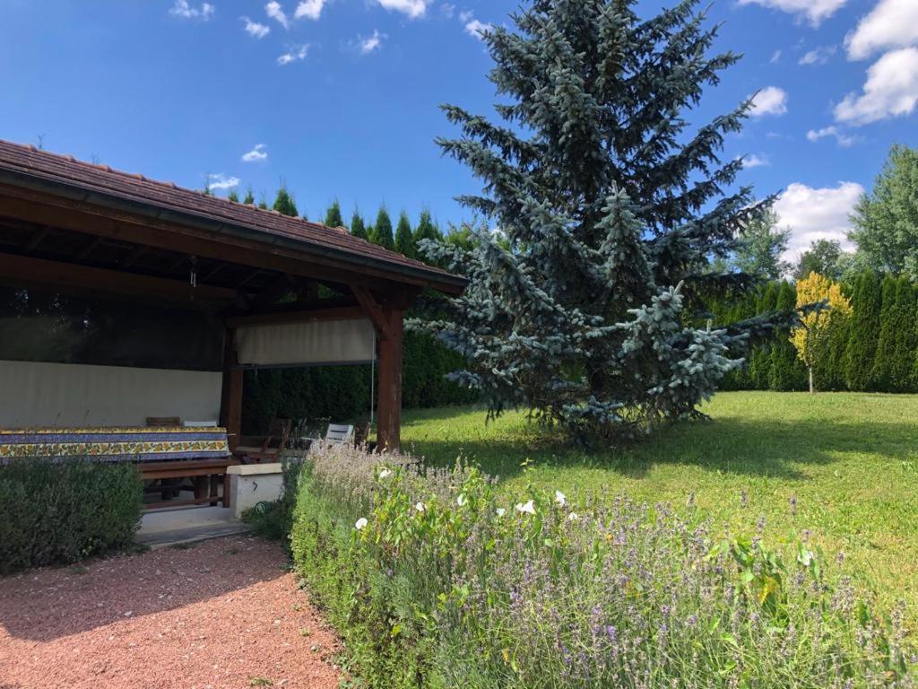 Maison/Gite Familial Dans Le Jura A 200M Du Lac Avec Piscine Privee Marigny  Buitenkant foto