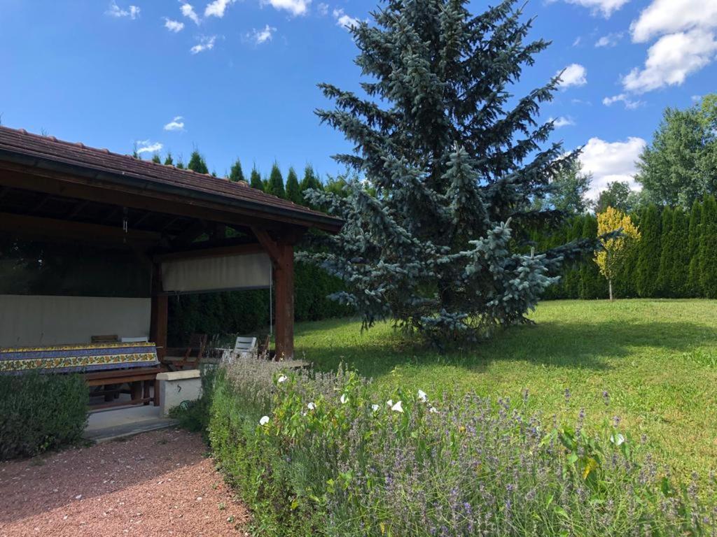 Maison/Gite Familial Dans Le Jura A 200M Du Lac Avec Piscine Privee Marigny  Buitenkant foto