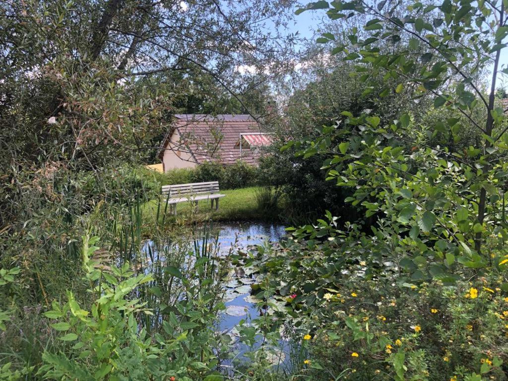 Maison/Gite Familial Dans Le Jura A 200M Du Lac Avec Piscine Privee Marigny  Buitenkant foto